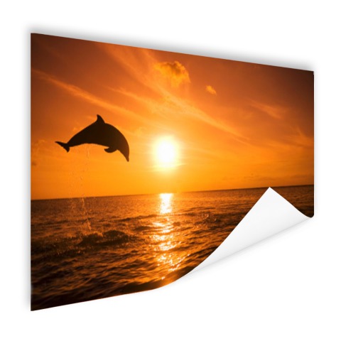 Springende dolfijn bij zonsondergang Poster
